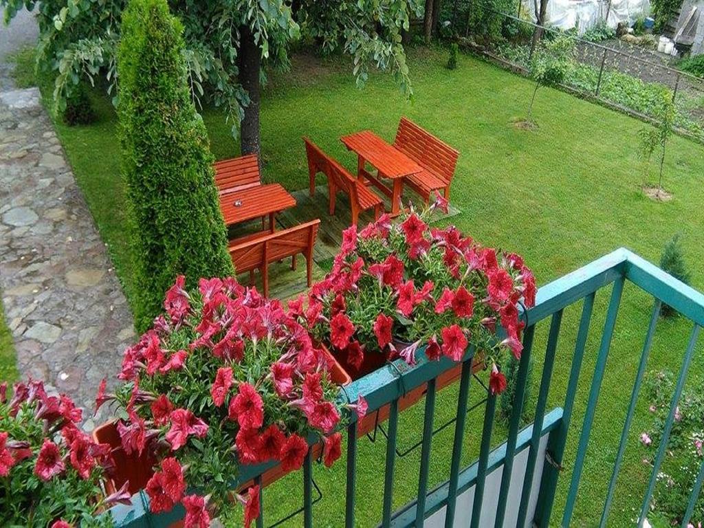 Apartments Radovic Kolašin Exterior foto